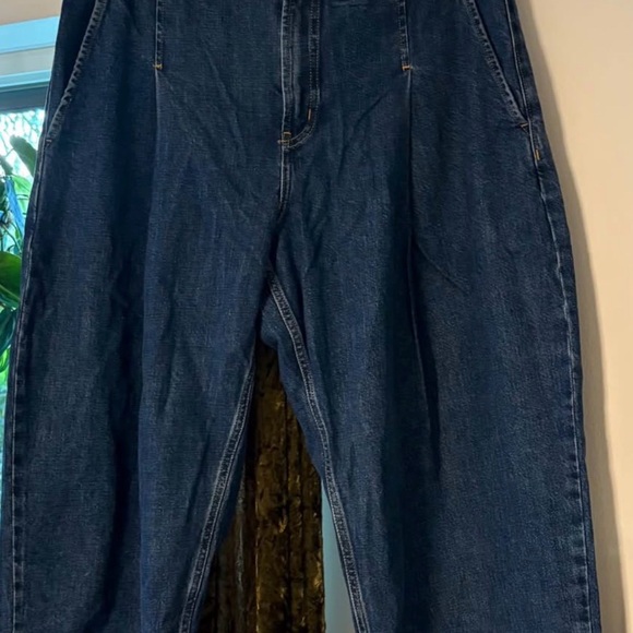 NWT THE HIGH RISE PLEATED JEAN, Everlane, size 32 - Picture 4 of 9